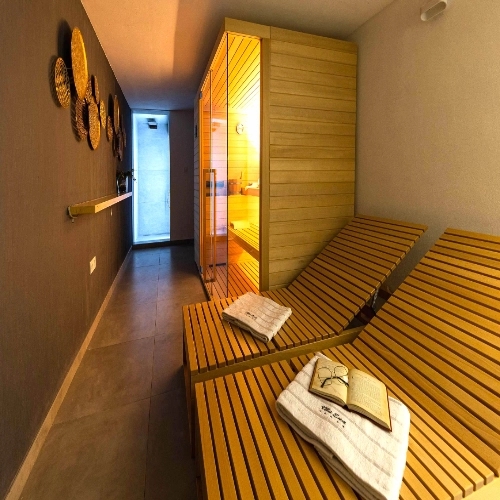 Wellness area with sauna, shower and loungers