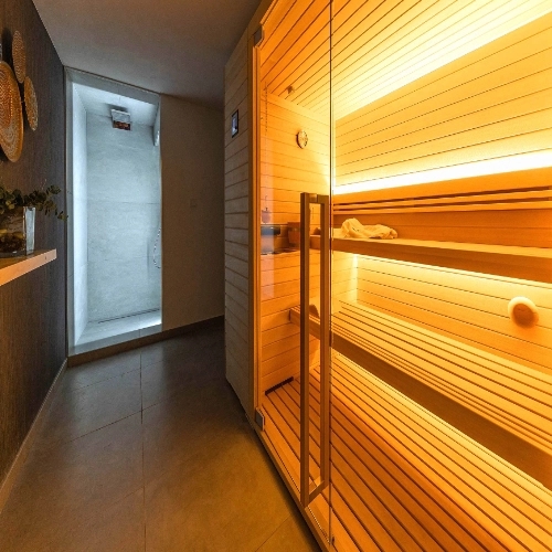 Wellness area with sauna, shower and loungers