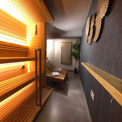 Wellness area with sauna, shower and loungers