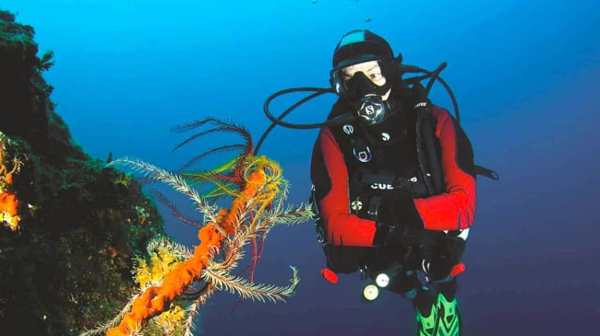 Ausflugsziel Tauchen in der Kvarner Bucht